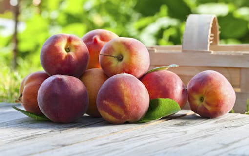 Fresh peaches